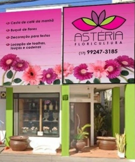 Floricultura Asteria São José do Rio Preto SP