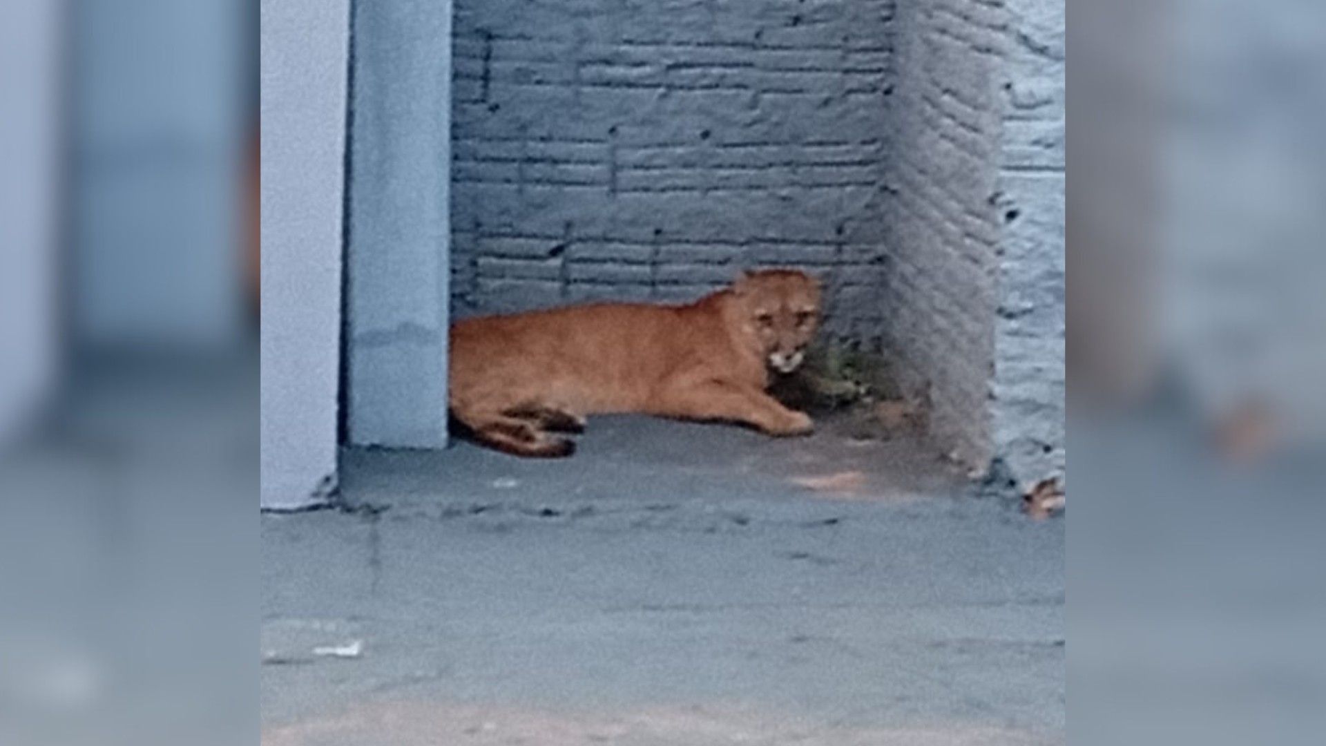 foto Not&iacute;cia São José do Rio Preto