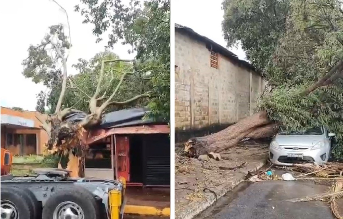 foto Not&iacute;cia São José do Rio Preto