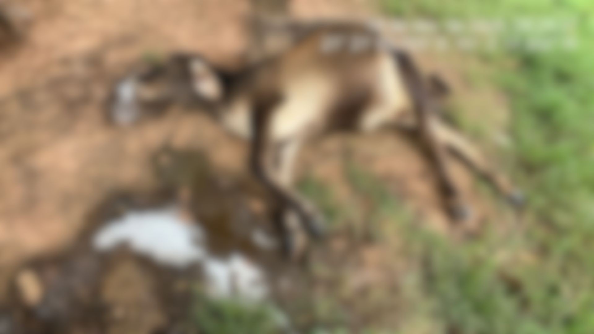 foto Not&iacute;cia São José do Rio Preto