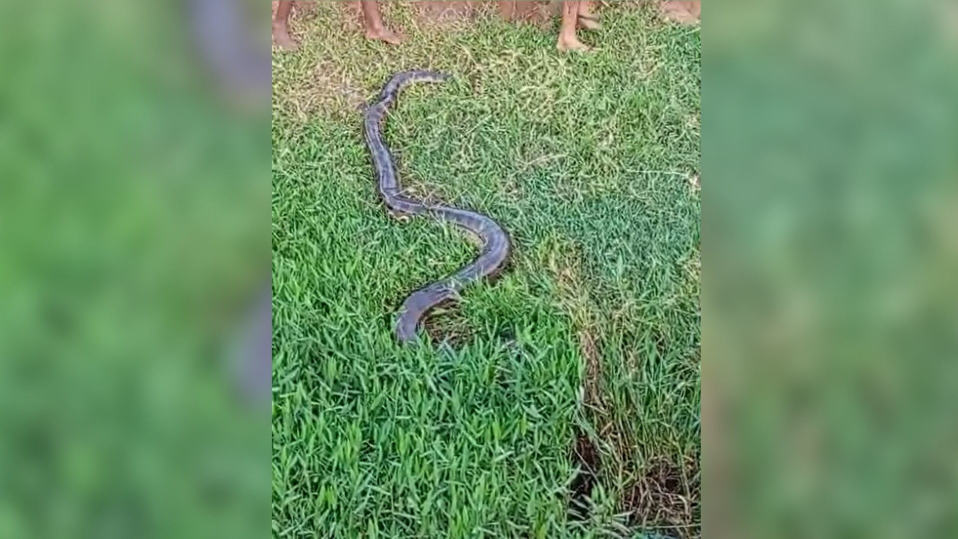 foto Not&iacute;cia São José do Rio Preto