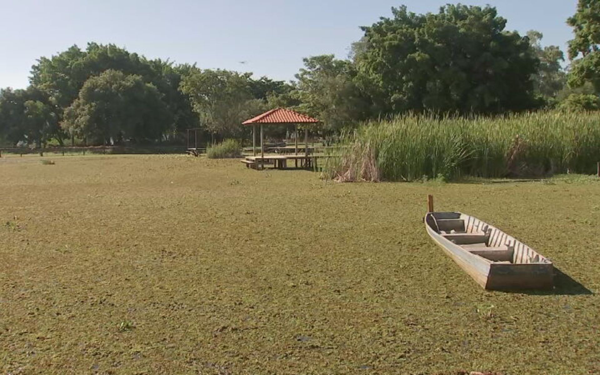 foto Not&iacute;cia São José do Rio Preto
